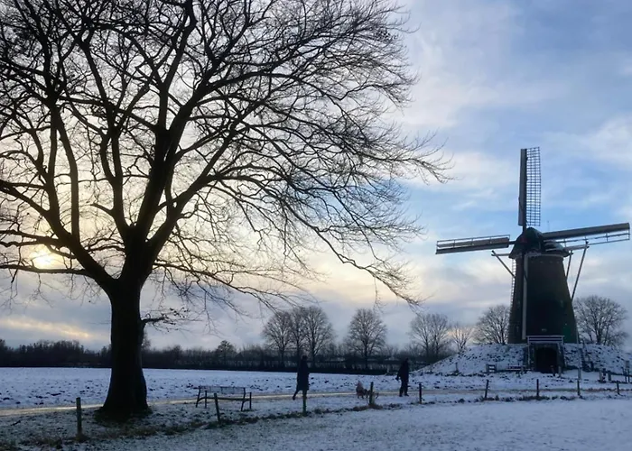 Aan 't Hof Bronkhorst