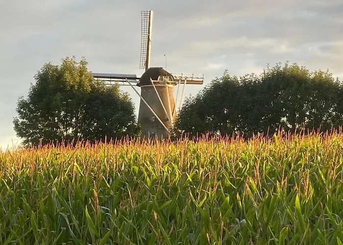 Aan 't Hof Nocleg ze śniadaniem 3*