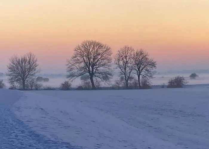 Bed and breakfast Aan 't Hof Bronkhorst